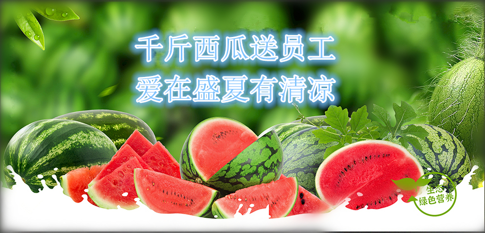 通達(dá)軟件公司： 千斤西瓜送員工，愛在盛夏有清涼